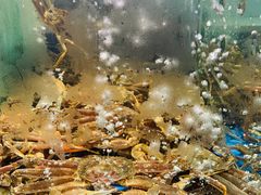 -蟹之国·精品蟹料理(极地店)