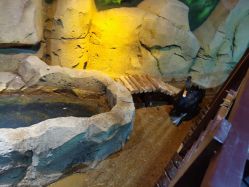 -酷嗒动物文化乐园(cutezoo西溪乐天城店)