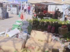 -中环花鸟鱼虫市场