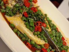 鲜花椒蒸东海大黄鱼-炳胜公馆(珠江新城店)