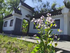 -沈阳植物园
