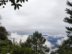 -梦幻奥陶纪景区