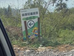 -武陵山森林公园