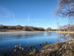 -大兴滨河森林公园