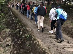 -羚羊峡古栈道森林公园