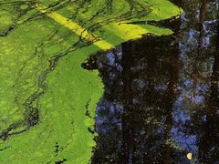 -渌洋湖湿地公园