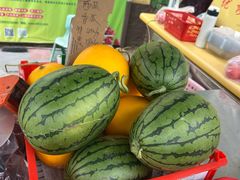 -大自然农场蔬菜草莓采摘园