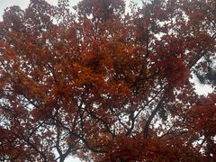 -山水草塘老菜馆