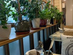 -Cafe Alice咖啡爱丽丝(奥城店)