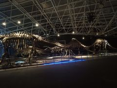 -世界恐龙谷景区