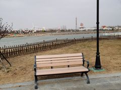 -荷兰花海