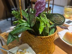 -一朵菌·野生菌探索家火锅(南亚店)
