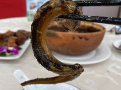 -台山第一家兴华黄鳝饭·黄鳝婆(开平店)