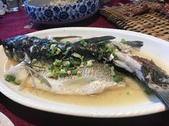 特色蒸吊水鲩鱼-园林美食城·本土农家菜(杨和镇店)