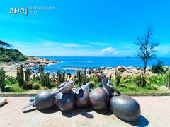 -广东惠东海龟国家级自然保护区