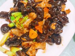 木耳烧蹄筋-老虎滩船说·海胆水饺·大连海鲜(老虎滩店)