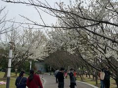 -苏州河梦清园环保主题公园