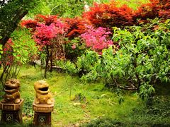 -南汇桃花村