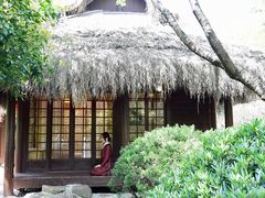-中国茶叶博物馆(双峰馆区)