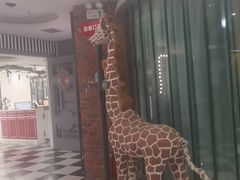 -H次元沉浸剧情密室(街道口店)