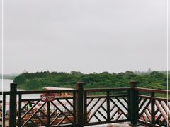 -东寨港红树林旅游区