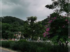 -红山村