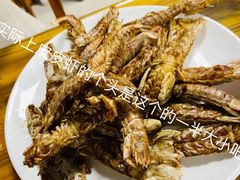 -兆辉木炭海鲜烧烤·海鲜小炒