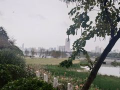 -南宁南湖公园