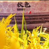 稻穗装饰+暖黄灯光 一秒穿越秋收乡野！