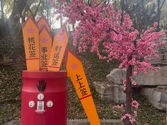 -淄博聊斋城景区