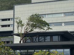 -三亚太阳湾柏悦酒店