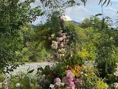 -怪咖·joker陈楠