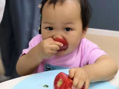 -小象托育