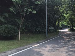 -火炉山森林公园