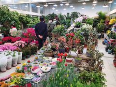 -双季花艺园艺市场(浦东店)