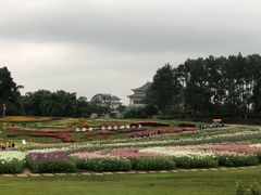 -保利石象湖景区