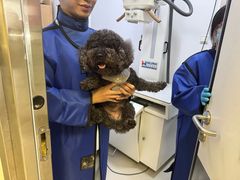 -爱妮康宠物医院·干细胞免疫细胞·肿瘤·心脏(张江店)