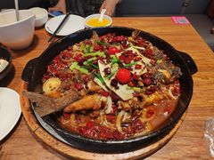 -老板恋上鱼(恒隆广场店)