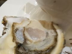 -半岛翡丽海鲜自助餐厅(观风亭店)