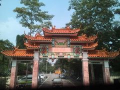 -广州市流溪河国家森林公园