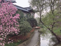 -SPA·印象足道养生(大运河度假区四望亭店)