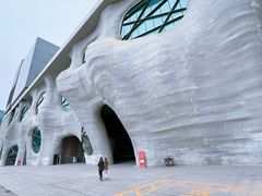 -证大喜玛拉雅中心