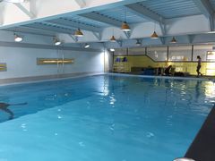 -上海潜殿潜水中心