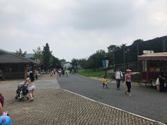 -无锡动物园·太湖欢乐园