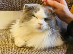 -默迹咖啡馆