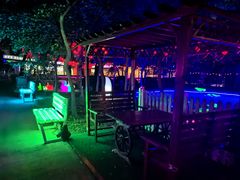 -枫花园汽车电影院(朝阳公园店)