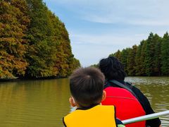 -上海海湾国家森林公园