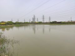 -大港湿地公园