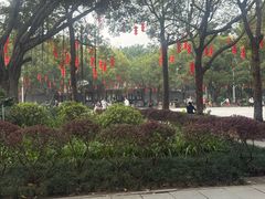 -顺峰山公园