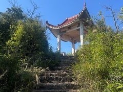 -青芝山风景名胜区